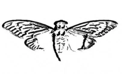 Cicada 3301: O Enigma que Desafia o Mundo
